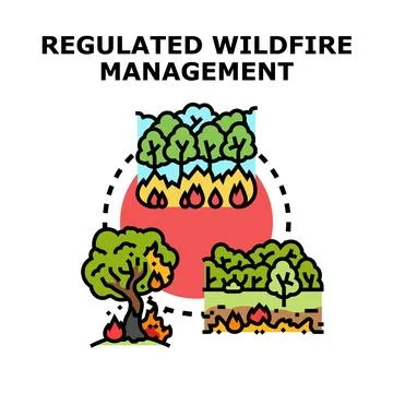 Regulated wildfire management preventing ecosystem destruction Stock Illustration