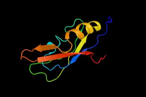 Regulator of nonsense transcripts 3A,a protein that is part of a post-splic.. 스톡 일러스트