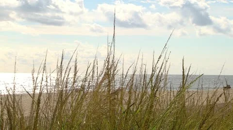 Rehoboth Beach Dunes HD09 Stock Footage 12266356