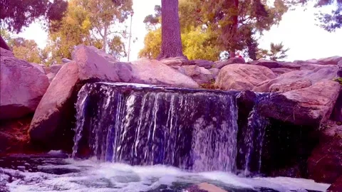 REID PARK  WATERFALL Stockbeeldmateriaal 312983723