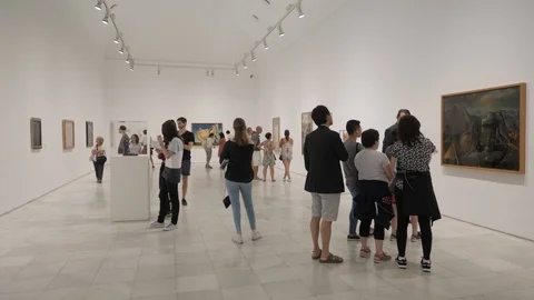 Reina Sofia art works Stock Footage 117495449
