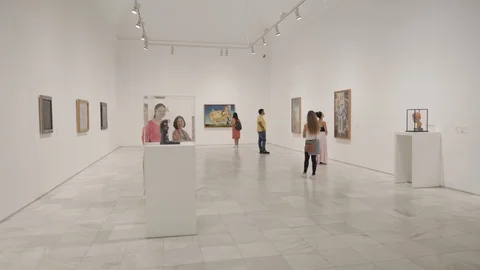 Reina Sofia art works Stock Footage 117495808