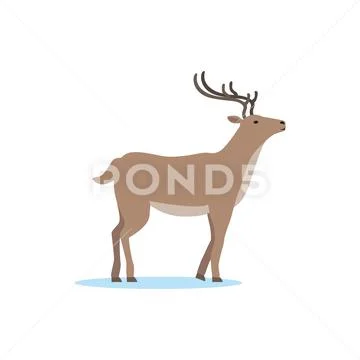Reindeer animal, Arctic fauna species vector Illustration Stock Illustration