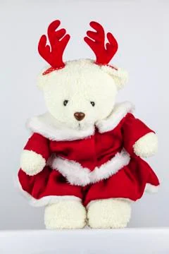 Reindeer Bear Stock Photos