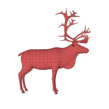 Reindeer-Caribou base mesh 3D Model