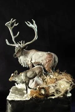 Reindeer in the dark Stock Photos