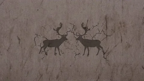 Reindeer Stock Footage 223531432
