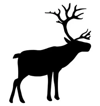 Reindeer Stock Illustration
