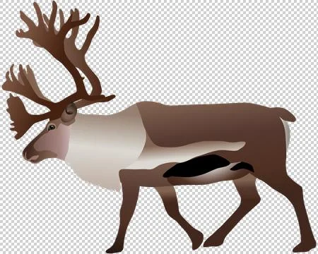 Reindeer Stock Illustration