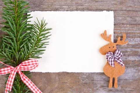 Reindeer Stock Photos