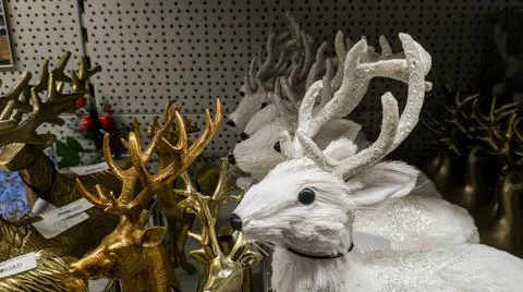 Reindeer Stock Photos