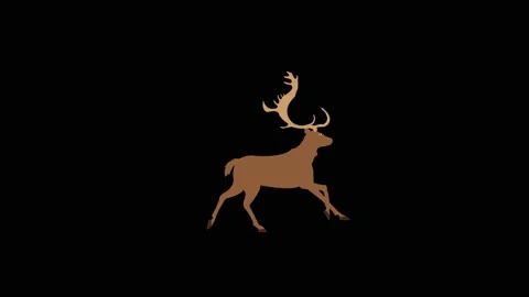 Reindeer running on black screen Stock Footage 222975528