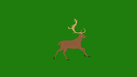 Reindeer running on green screen Stock Footage 222974991