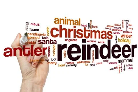 Reindeer word cloud concept Stock-Illustration
