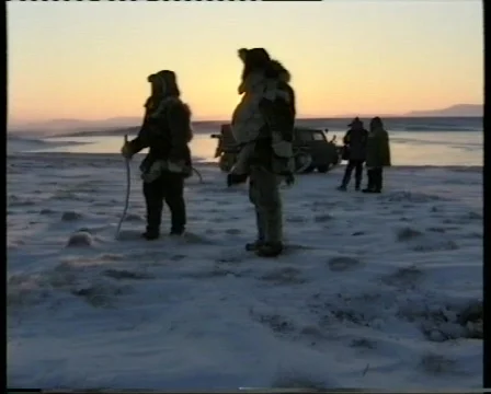 Reindeers in tundra Stock Footage