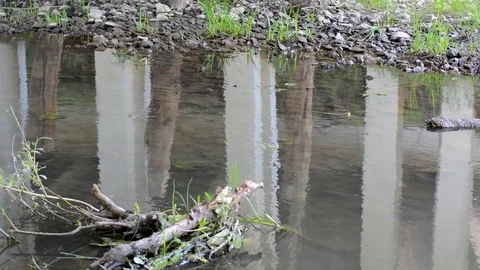 Reinforced concrete pillars are reflected in the water upside down Stock Footage 91384893