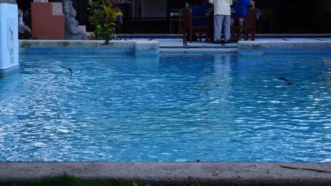 REJECT MADE A MISTAKE 스톡 동영상 120225252