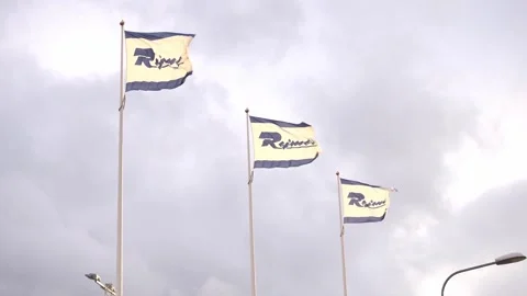Rejmes flags Stock Footage 282580127