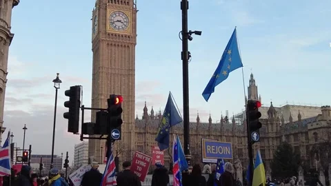 Rejoin demonstration in London Video stock 319914427