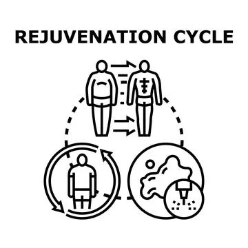Rejuvenation cycle conceptualizing human body transformation, weight loss, an Stock-Illustration