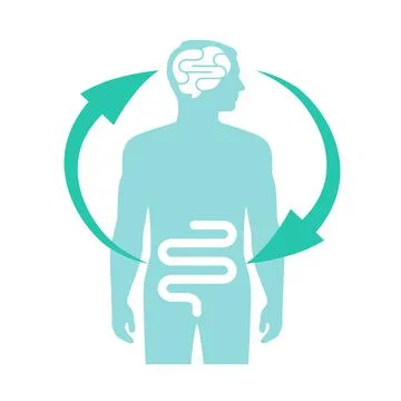 Relation of human brain and guts, second brain, image diagram, vector Stock Illustration