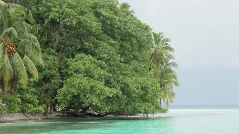 Relax and calm, empty sea beach and trees background. Travel to the paradise Stock Footage 164239231
