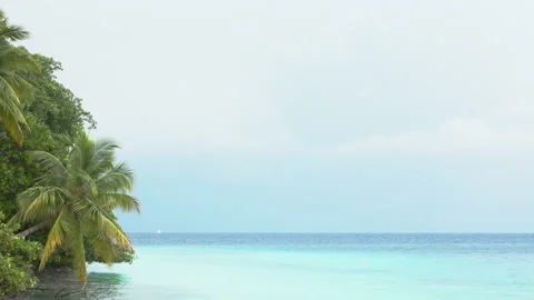 Relax and calm, empty sea beach and trees background. Travel to the paradise Stock Footage 164239436
