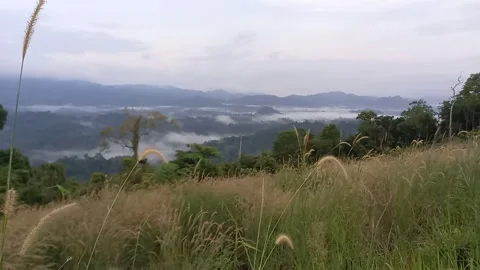 Relax and Calm Stock Footage 241779871