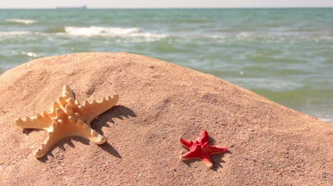Relax on the beach Stock Footage 47840159