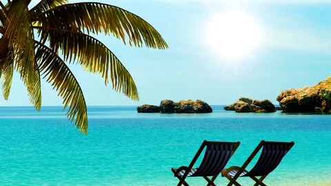 Relax on the beach under palm trees in the tropics Travel background. Stock Footage 70054451