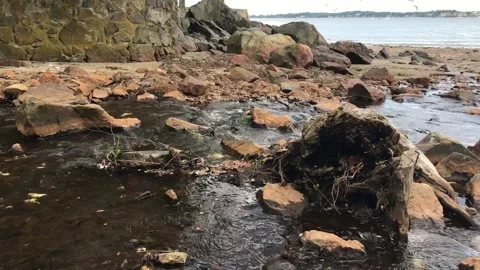 Relax at the brook. Stock Footage 154168247