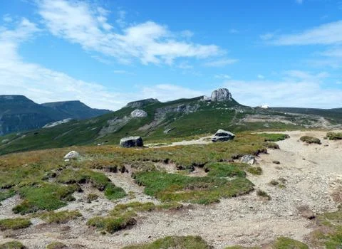 Relax in Bucegi Mountain Stock Photos