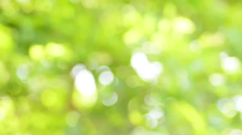 Relax with Greed bokeh Video stock 51802271