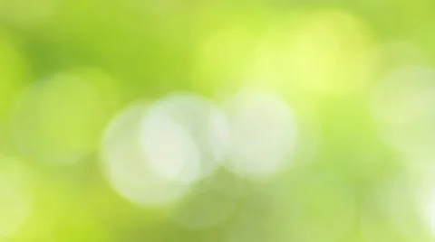 Relax with Greed bokeh Video stock 51802291