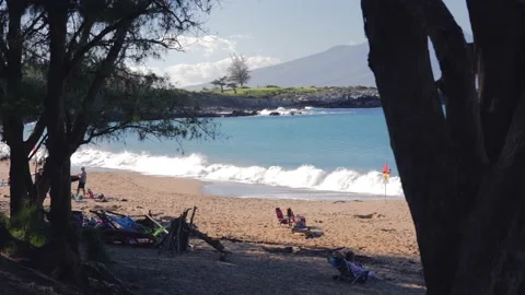 Relax Hawaiian Beach Stock Footage 233862273