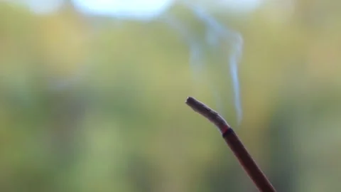 Relax incense smoke Stock Footage 256107120