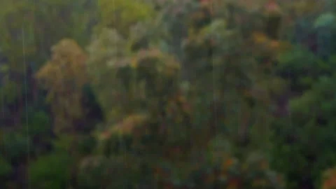 Relax landscape heavy rain Stock Footage 256607643