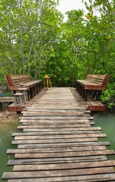 Relax at mangrove forest Stock Photos