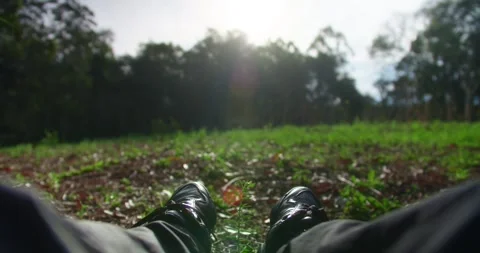 Relax Nature Stockbeeldmateriaal 246766209