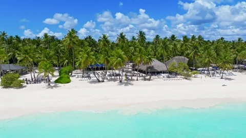 Relax on a palm-lined beach. Escape to a paradise seaside. 스톡 동영상 340383088