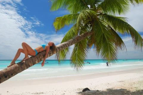 Relax on palm Stock Photos