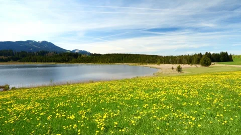 Relax by a pristine mountain lake with clear water, vibrant greenery, and fre Stock Footage 309184202
