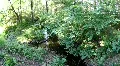 Relax, Wood 6832 HD Footage