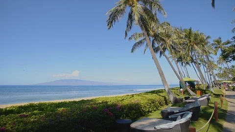 Relax zone on the ocean beach among tropical nature on resort hyatt on the Stock Footage 101123894