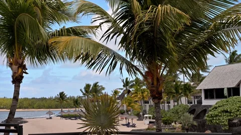 Relaxation area on the beach 스톡 동영상 315340538