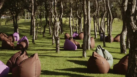 Relaxation area with soft seats located on the lawn among the trees in the park Stock Footage 341436748