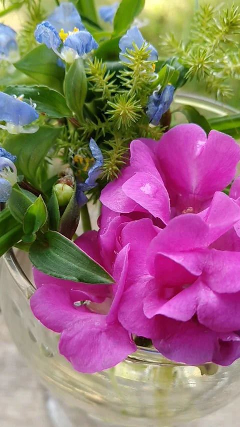 Relaxation Background Stock Footage 326354966