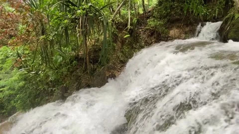 Relaxation from flowing river water Stock Footage 295012304