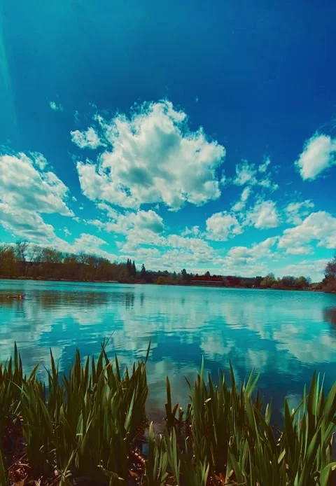Relaxation Stock Footage 183113424