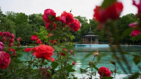 Relaxation in the park Stock-Footage 284540787